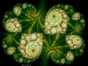 Ayahuasca Fractal