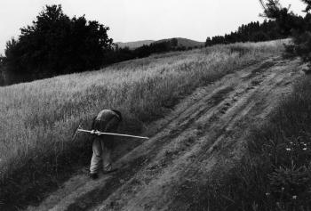 photo by Vojta Dukát