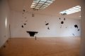 Sam Ashley, instalace (3)