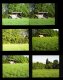 Film