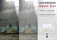 Jerzy Dobrzanski - Kůže zdi, pozvánka