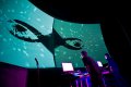 Noisefold - David Stout a Cory Metcalf