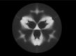 55505 pareidolia