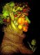 Giuseppe  Arcimboldo,