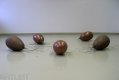 Cucurbitaceae,Měď, bronz, epoxidová pryskyřice, Theremin, elektronika, 2007  