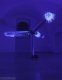 Nasávač elektrostatický,hliník, polystyren, textil, Van de Graaffův generátor, UV zářivky, 2006 