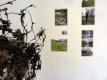 Agrosquatting - instalace