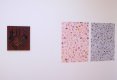 Radim Langer / Marek Meduna: Berg