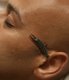 earwig st.helene