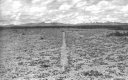 Richard Long: Long Line in Bolivia