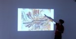  On the border - interpretation of wilderness from perspectives of science and art