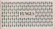 obálka katalogu Fungus – průzkum místa-catalog-0-cover-fungus.jpg