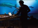 fishing for islands live-dr_live_at_fishing_for_islandsweb.jpg david rothenberg