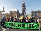 -rebellion-day-in-london-e15424766139081.jpg -rebellion-day-in-london-e15424766139081.jpg